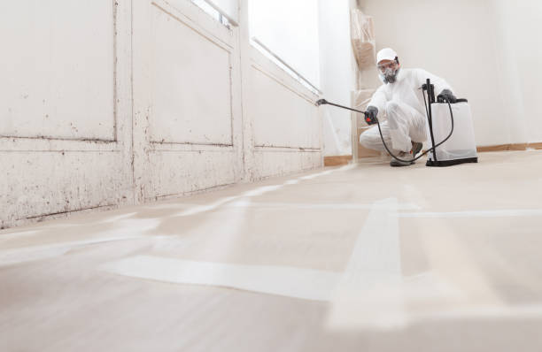 24/7 Emergency Bathroom Mold Removal experts in Richland, PA