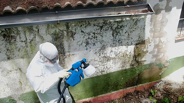 Top rated local Bathroom Mold Removal specialists in Richland, PA